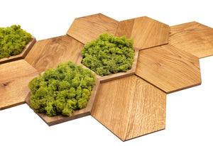 Set of 7 oak panels with 3 MIDI moss panels