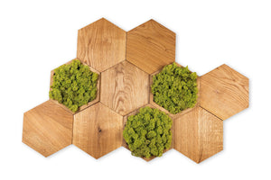 Set of 7 oak panels with 3 MIDI moss panels