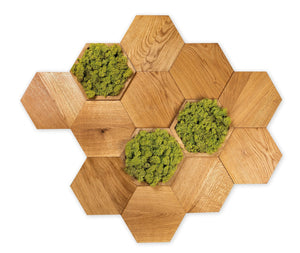 Wooden wall panels hexagon natural oak MINI