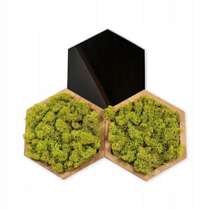 Hexagon black glass wall panel MIDI